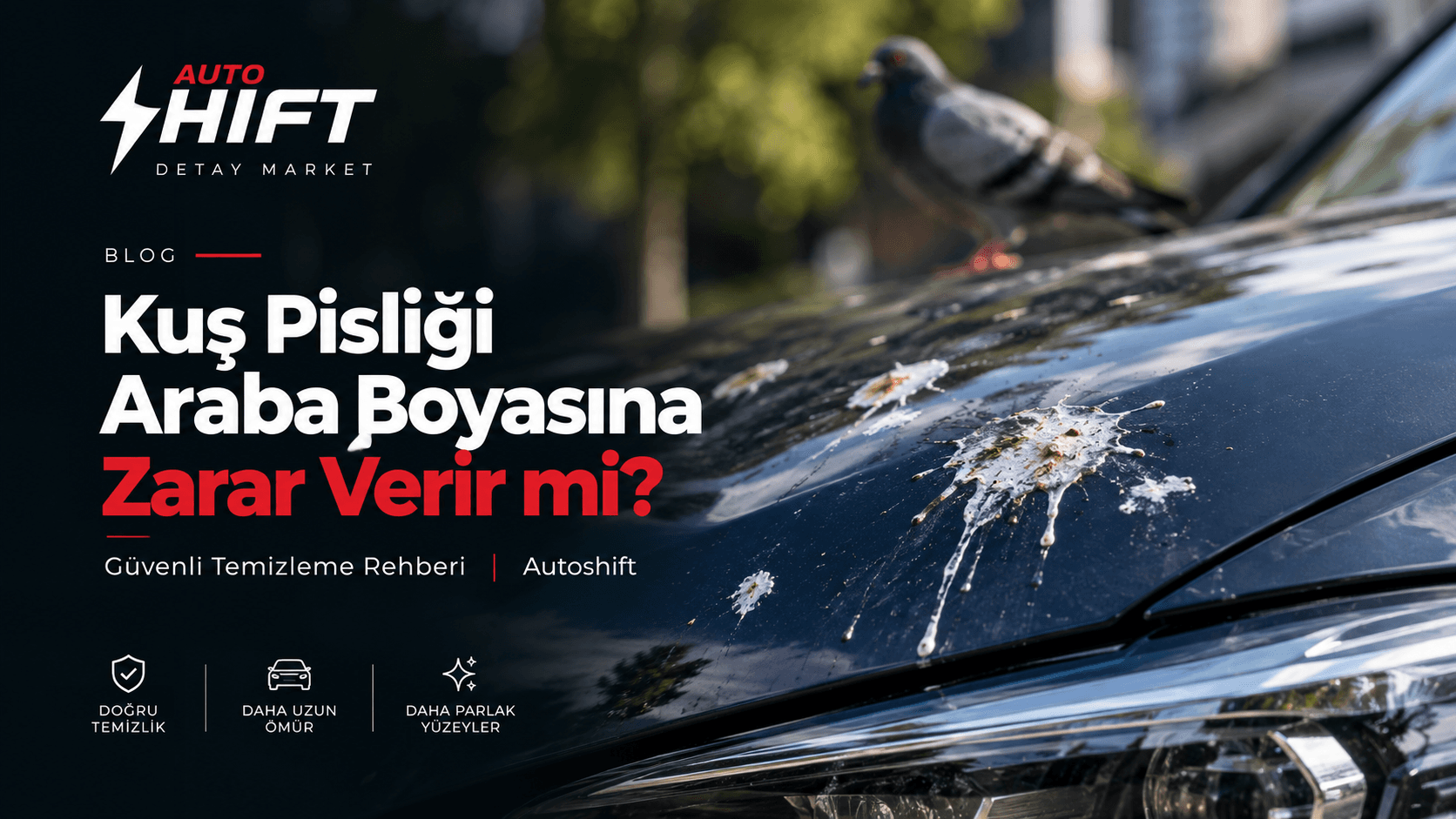 Kuş Pisliği Araba Boyasına Zarar Verir mi? Güvenli Temizleme Rehberi | Autoshift